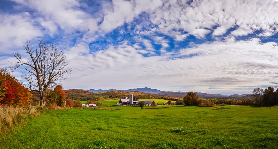 sharp cheddar farm-9775