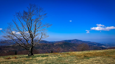 Hala Jaworowa - panorama Beskidów