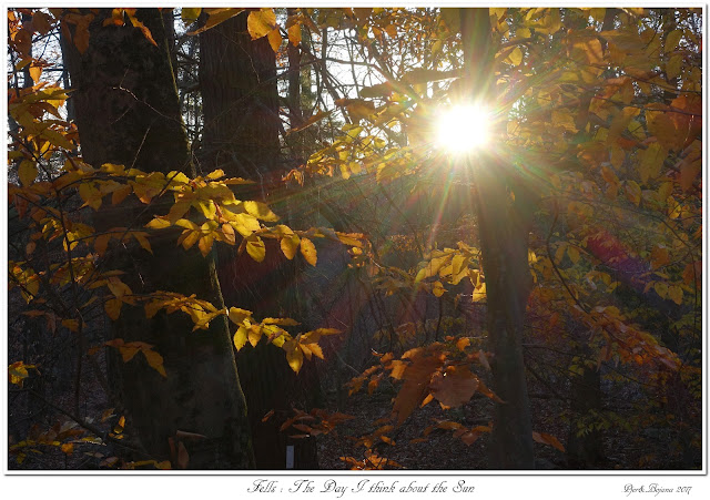 Fells: The Day I think about the Sun