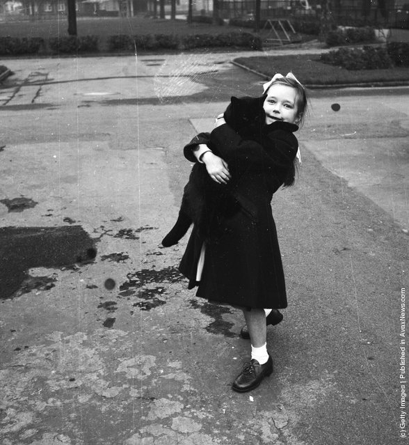 Девочка с любимой кошки. (21 декабря 1953 г.)