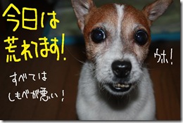 今日カズ０９１２２６　２