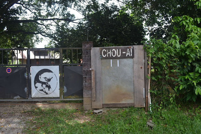 Guyane, Moutons-paresseux, chou aï