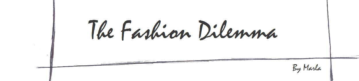                The Fashion Dilemma