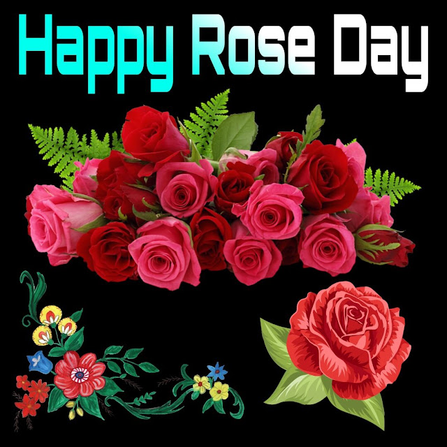 Happy Rose Day Images For Whatsapp