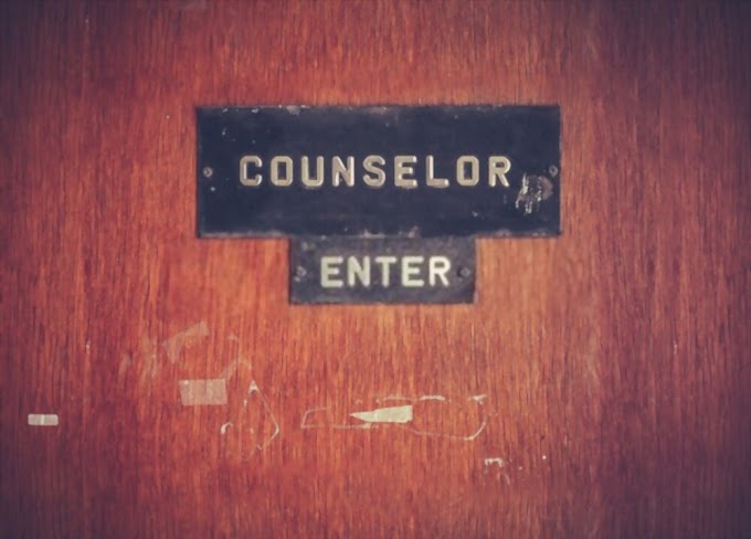Counselor Job Description