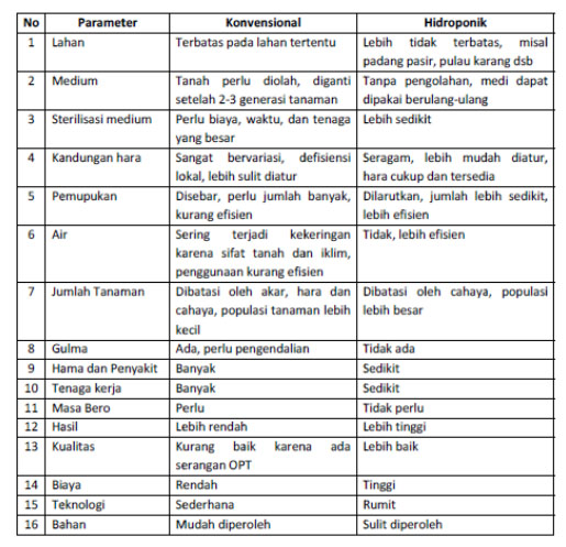 Hidroponik Sederhana PERBANDINGAN BUDIDAYA TANAMAN SECARA 