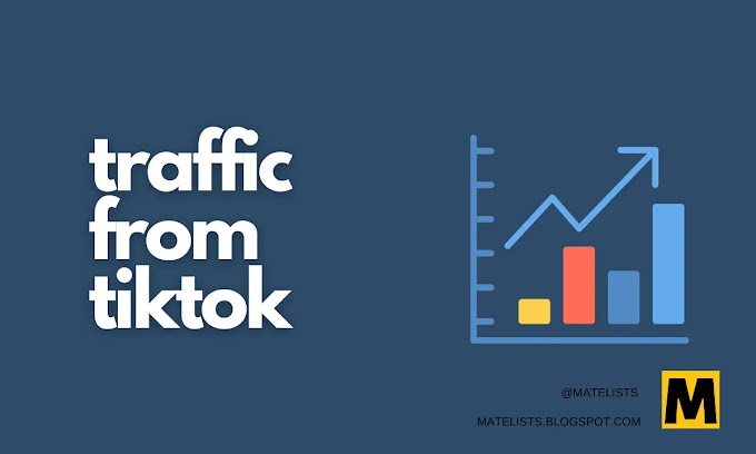 How Do I Get Traffic To My Website From TikTok?