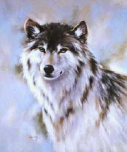 Children At The Wise Wolf Councils This Year