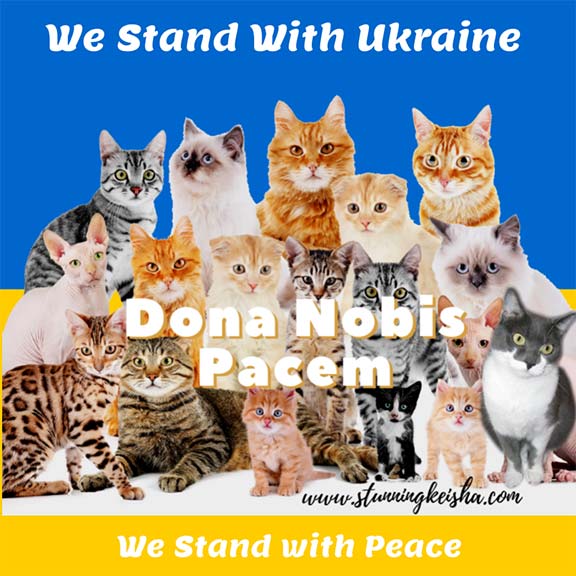 Dona Nobis Pacem: Slava Ukraini