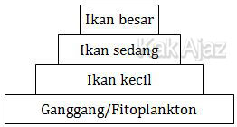 Piramida jumlah organisme ekosistem air laut