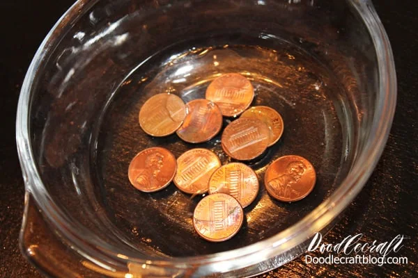 Step 2: Shiny Pennies  Take the shiniest of the pennies and place them in a little bowl.   Add vinegar and salt, as previous step.