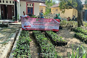 Harga Naik, Bupati Indramayu Instruksikan Gerakan Menanam Cabe