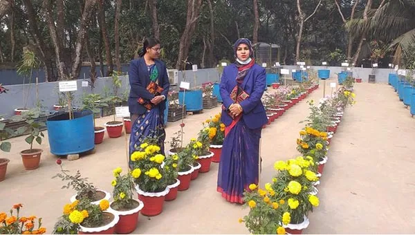 বাড়িতে গোলাপ ফুলের বাগান - ফুলের টপ  - গোলাপ ফুলের বাগানের ছবি - rose garden - NeotericIT.com