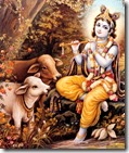 [Krishna with cows]