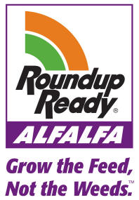 usda roundup ready alfalfa