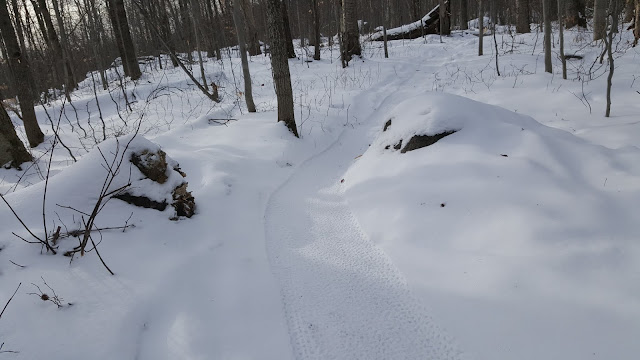 Sentier de Fat Bike au parc du mont Loup Garou