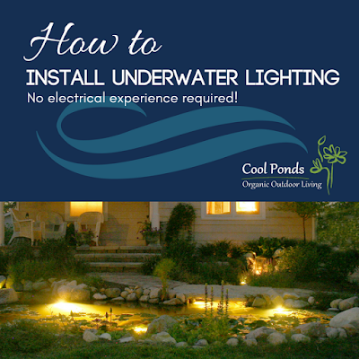 how to install pond lighting