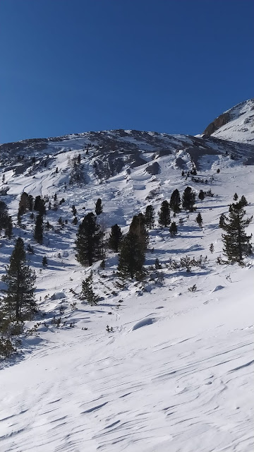 Fotos der Unfalllawine zeigen den bis zu 1 m mächtigen Anbruch der Lawine. Grate und Kammlagen sind komplett abgeblasen. Triebschnee wurde somit in Rinnen und Mulden bzw. kammfern abgelagert. (Foto: Dapoz Günther, 05.02.2023)