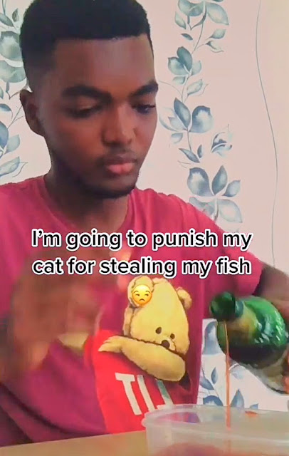Man soaks his cat's food with alcohol to punish them