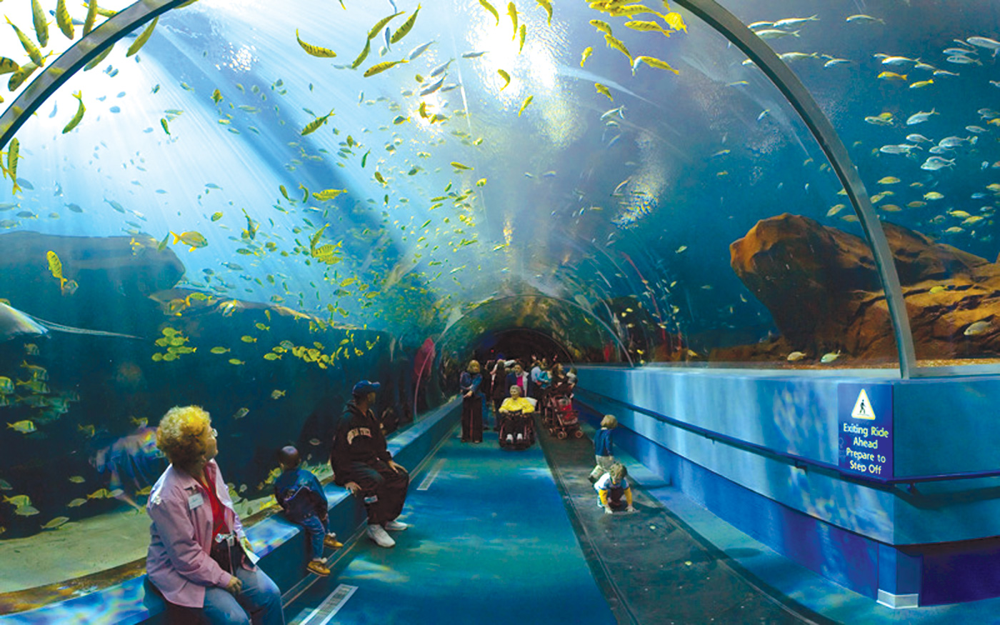 World Visits: Georgia Aquarium in United States