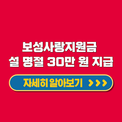 보성사랑지원금 설 명절 전 30만 원 지급 지원 대상 기간 신청 방법