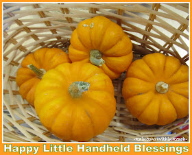 photo of: Mini Pumpkin Gourds for Halloween via RainbowsWithinReach