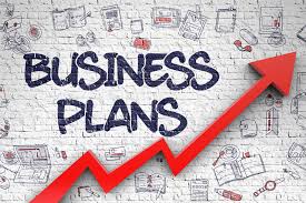 POULTRY AND VEGETABLE BUSINESS PLAN