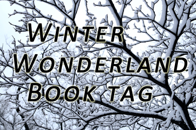 Imagini pentru winter wonderland book tag