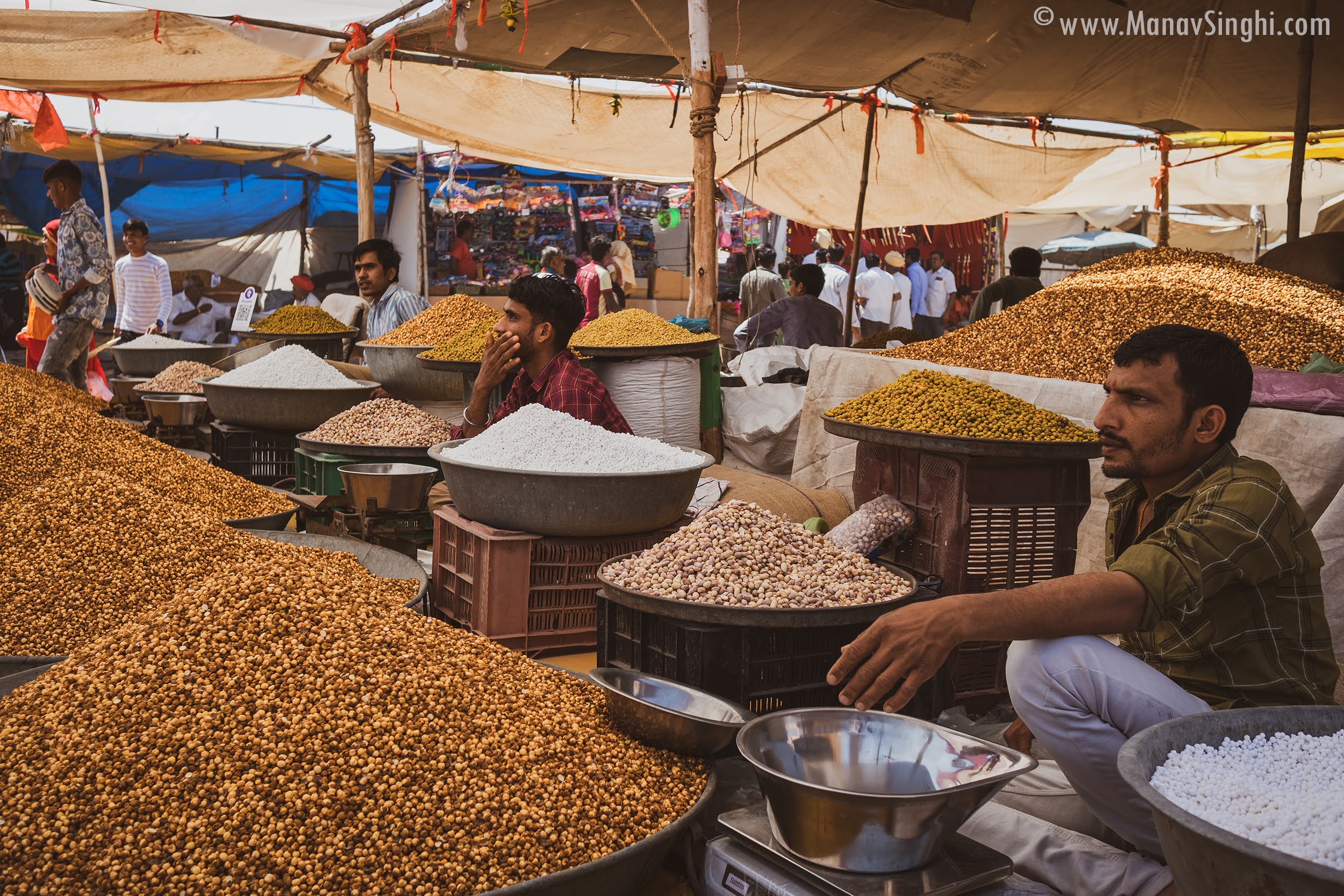 The Mallinath Cattle Fair, Tilwara 2023 - Biggest Cattle Fair in Rajasthan.