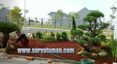 www.suryataman.com