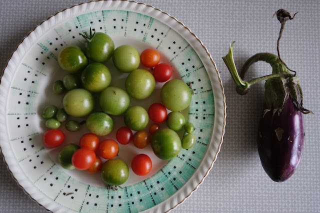 tomater gröna orange röda retro tallrik aubergine lila liten små många