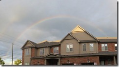 IMG_4331 Stitch