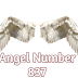 Angel Number 837 Meaning & Symbolism