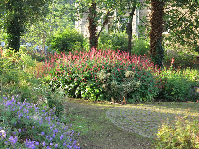 Plants with colour, scent and texture designed specially for with people with a visual impairment.