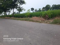 industrial land for sale land for sale in ludhiana we are specialy deal in  industrial (i zone) land in ludhiana area . we have so many deals in industrial & commercial lands & plots.these deals are in front of main NH1 G.T road ,chandigarh road,  main roads & link roads. these lands price accourding to their locations. so more information contact with us ...benipal property advisor