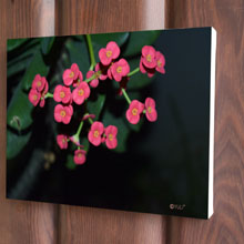 Shop Flowers Canvas Print Wall Art Online and Instore in Port Harcourt, Nigeria