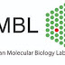 Call for applications: EMBL Interdisciplinary Postdoctoral Fellowship (EIPOD)