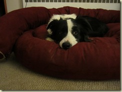 new bed