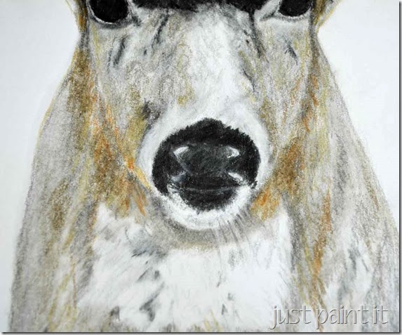 Deerhead-Sketch-F