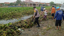 Antisipasi Banjir, Polisi Bersama Pemdes dan Waga Bakti Sosial Membersihkan Tanaman Eceng Gondok