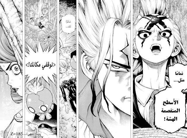 مانجا Dr.Stone الفصل 185 الصفحة رقم 17
