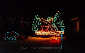display of bears in colored lights