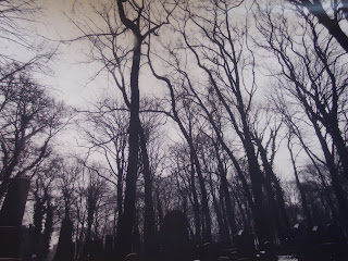 Old Jewish Cemetery