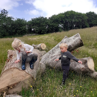 Two cute children perch on large chunks of cut down tree, they are engrossed in play