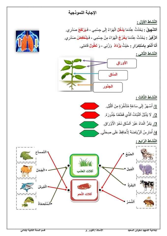 اختبار الفصل الأول في مادة التربية العلمية - السنة الثانية ابتدائي