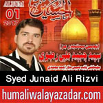 http://www.humaliwalayazadar.com/2017/10/syed-junaid-ali-rizvi-nohay-2018.html