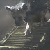 Novas informações sobre The Last Guardian