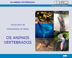 https://www.edu.xunta.es/espazoAbalar/sites/espazoAbalar/files/datos/1363693614/contido/vocabulario_animais_vertebrados.html