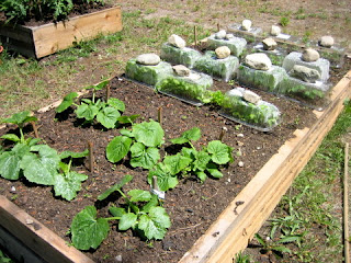 container vegetable gardening ideas