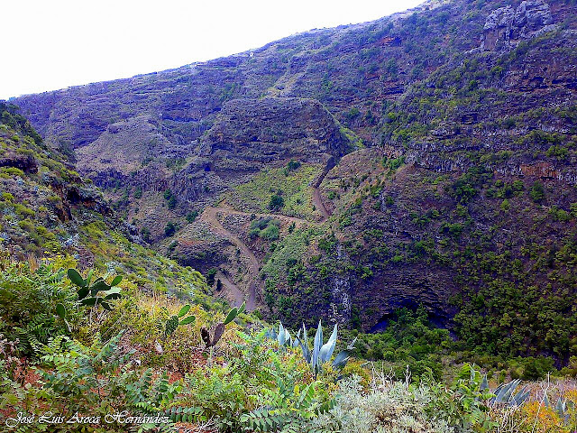 La Palma (Canarias).